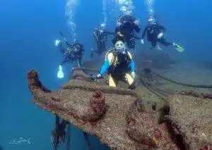 Scuba Diving in La Paz