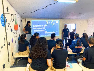 international whale shark day at a school